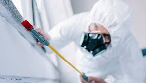 Pest Control for Hotels in Northlake, IL